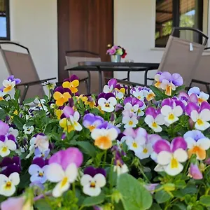  Casa vacanze Casa Tre Palmi